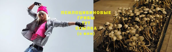 каннабис Майский