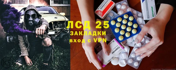 PSILOCYBIN Липки
